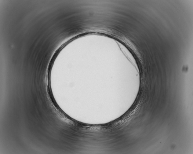 X0000099401028200806051203