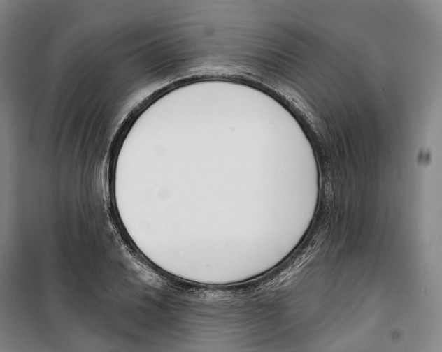 X0000099401030200806051203