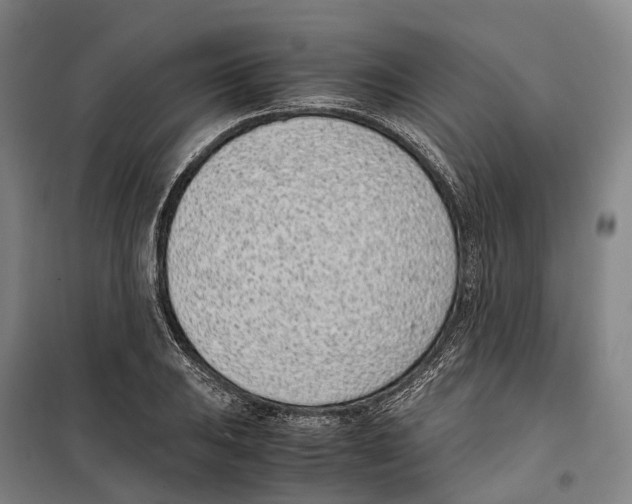 X0000099401031200806051203
