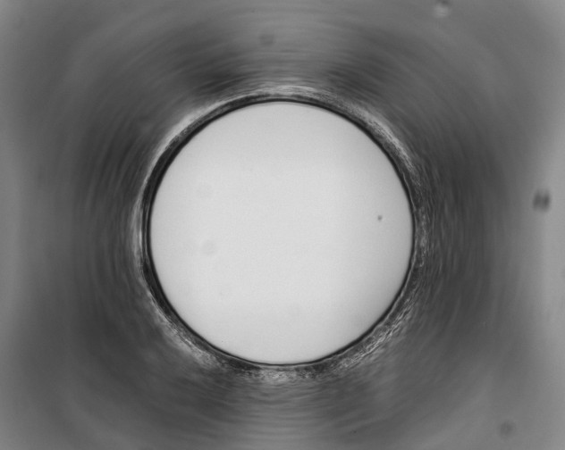 X0000099401032200806051203