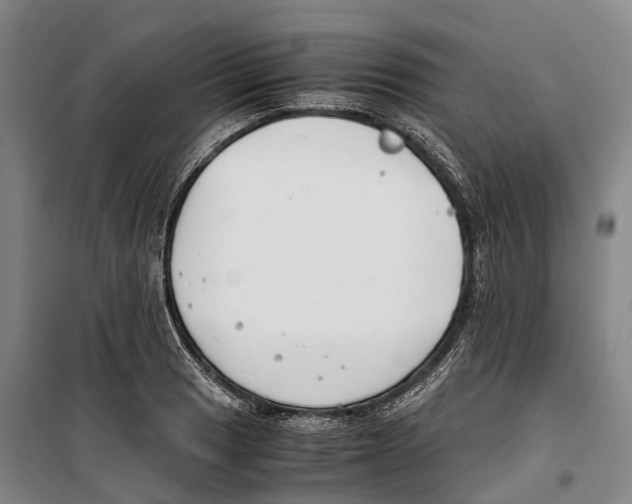 X0000099401033200806051203