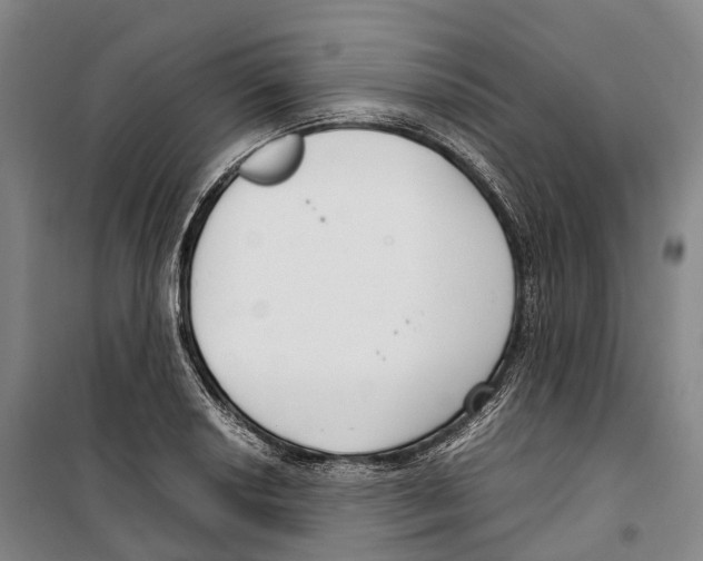 X0000099401034200806051203