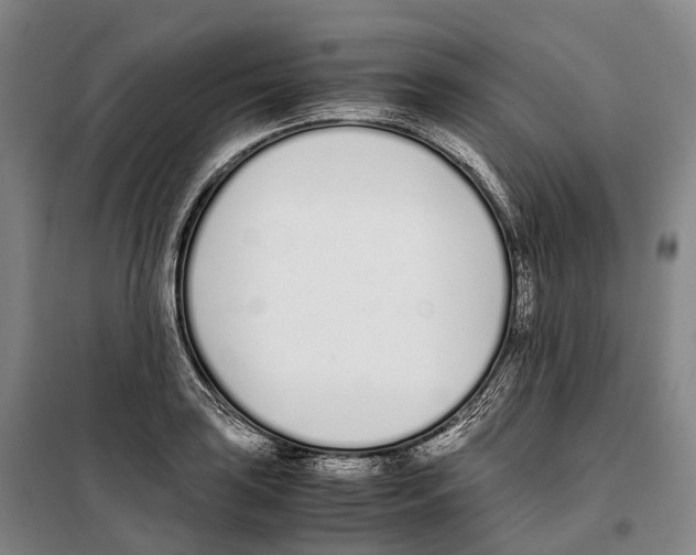 X0000099401035200806051203