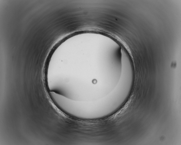 X0000099401037200806051203