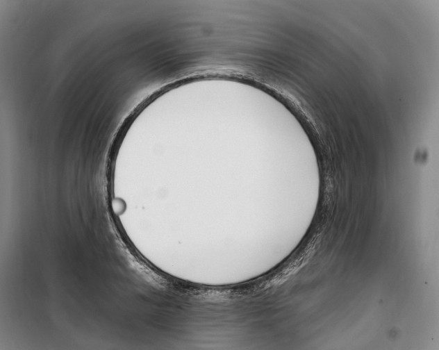 X0000099401038200806051203