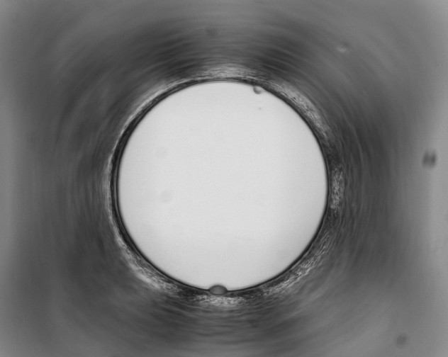 X0000099401039200806051203