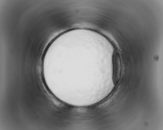 X0000099401040200806051203