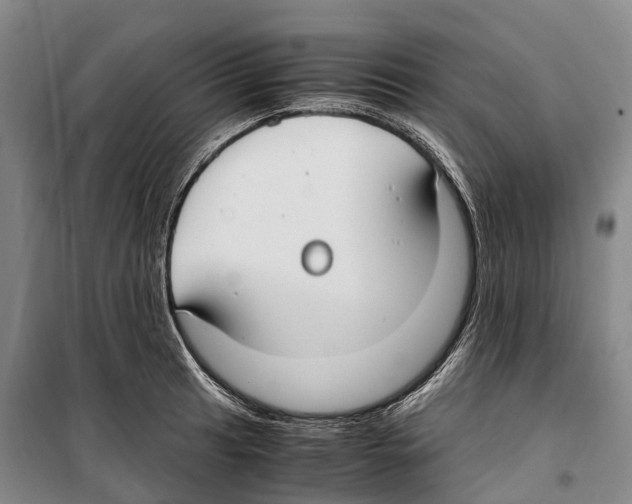 X0000099401041200806051203