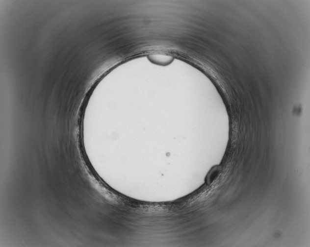 X0000099401042200806051203