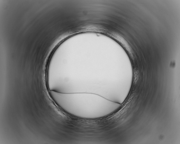 X0000099401043200806051203