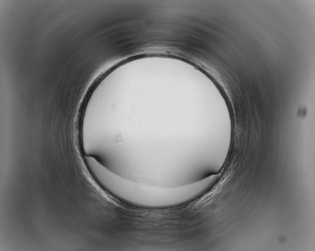 X0000099401045200806051203