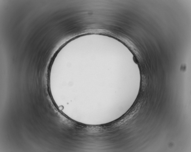X0000099401046200806051203