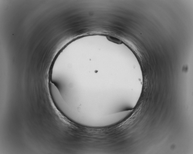 X0000099401047200806051203