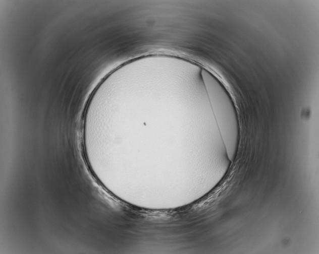 X0000099401048200806051203
