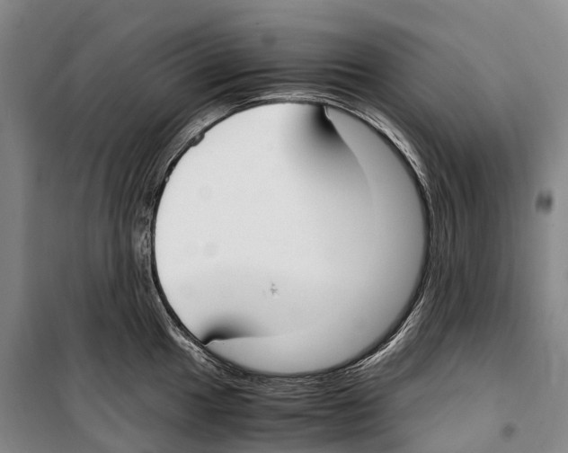 X0000099401049200806051203