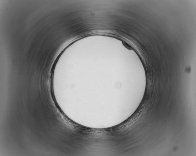 X0000099401050200806051203