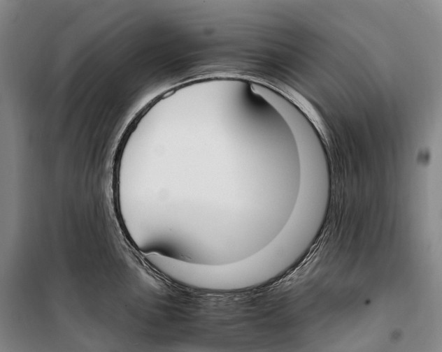X0000099401051200806051203