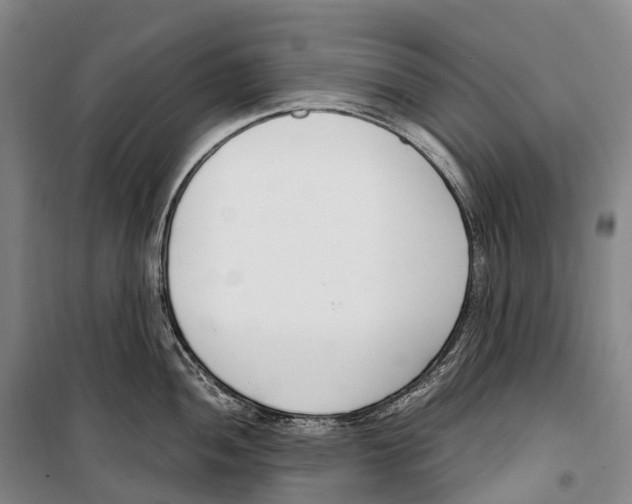 X0000099401052200806051203