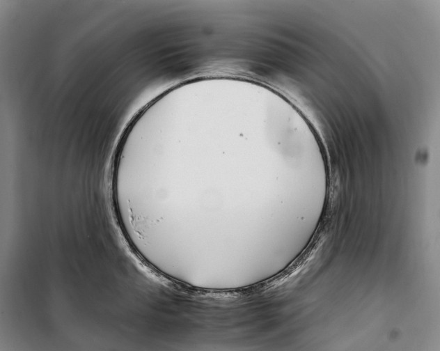 X0000099401053200806051203