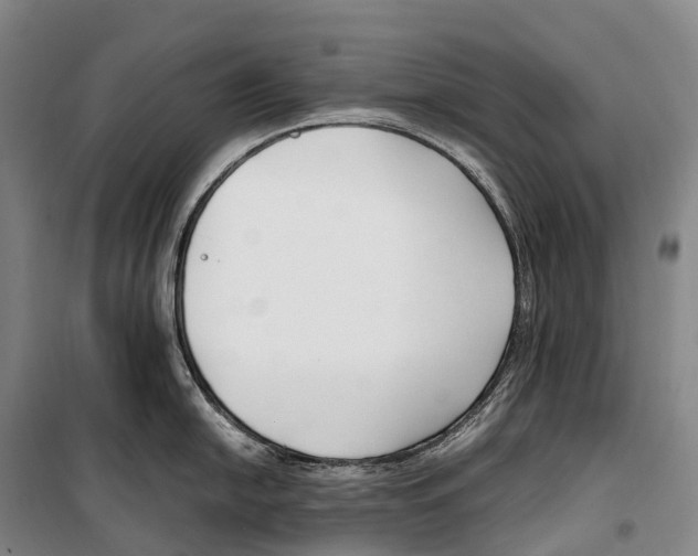 X0000099401054200806051203