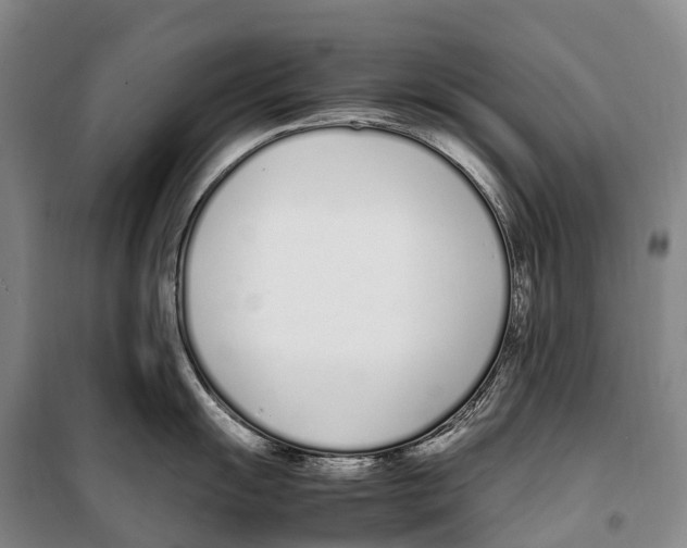 X0000099401055200806051203