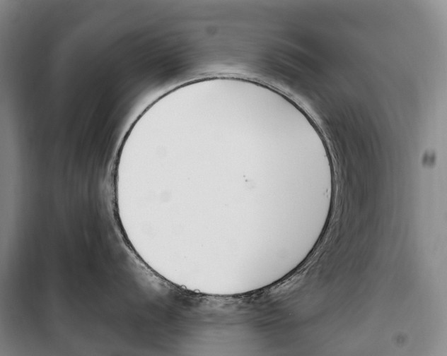 X0000099401056200806051203
