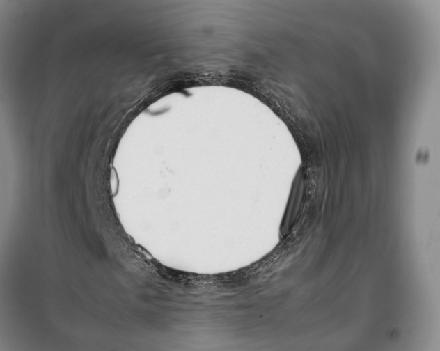 X0000099401057200806051203