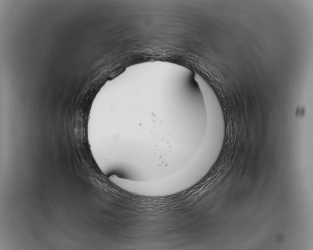 X0000099401058200806051203