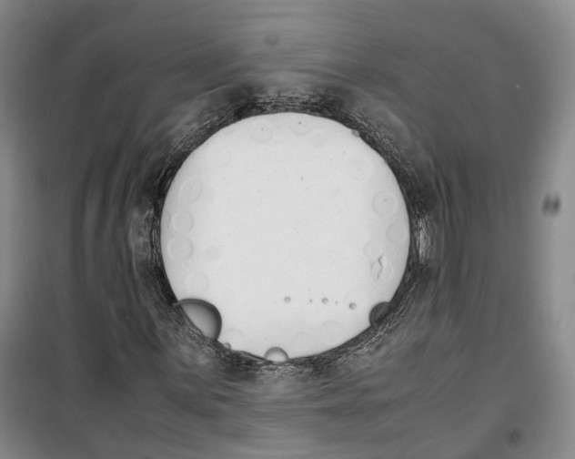 X0000099401059200806051203