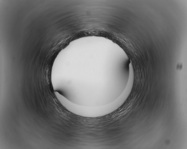 X0000099401060200806051202