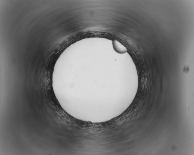 X0000099401062200806051202