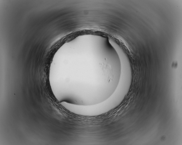 X0000099401064200806051202