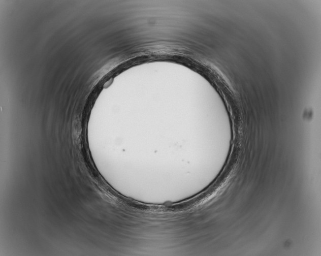 X0000099401065200806051202