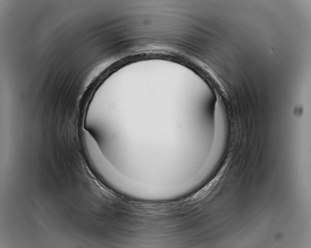 X0000099401066200806051202