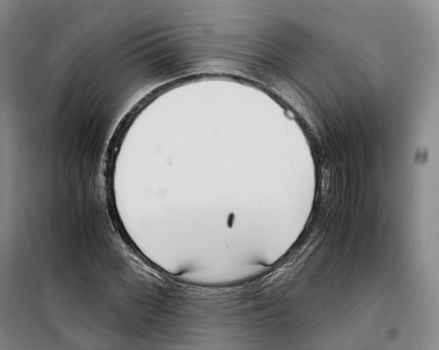 X0000099401068200806051202