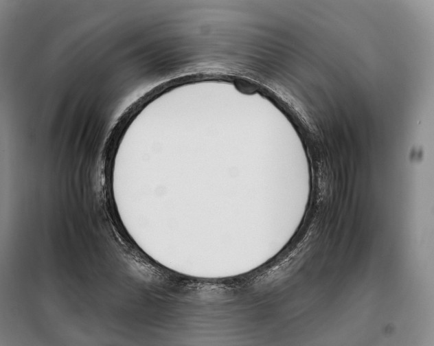 X0000099401070200806051202