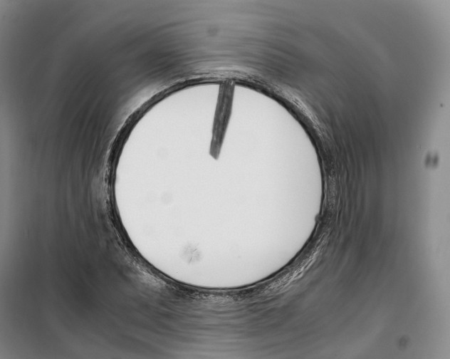 X0000099401071200806051202