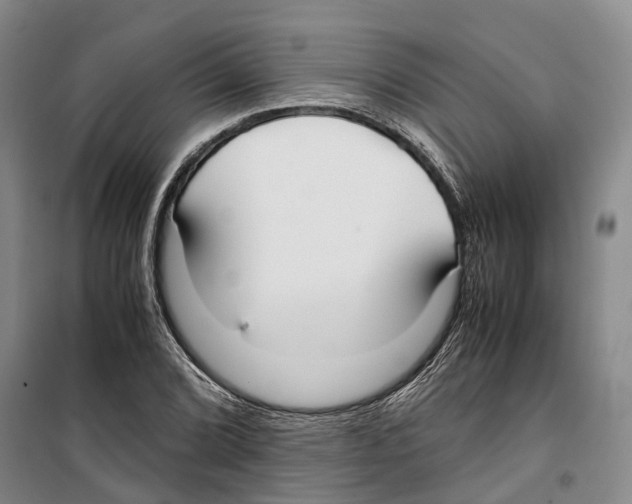 X0000099401072200806051202