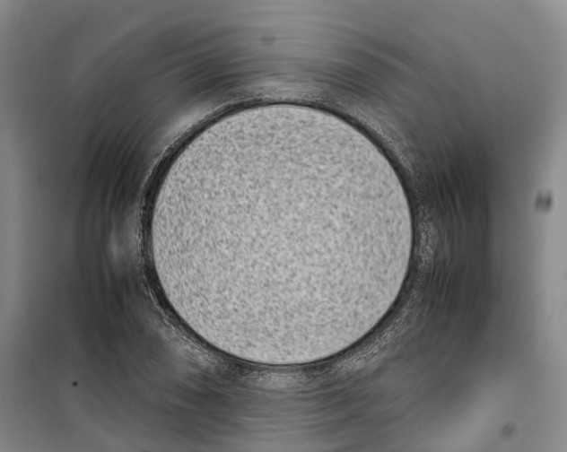 X0000099401074200806051202