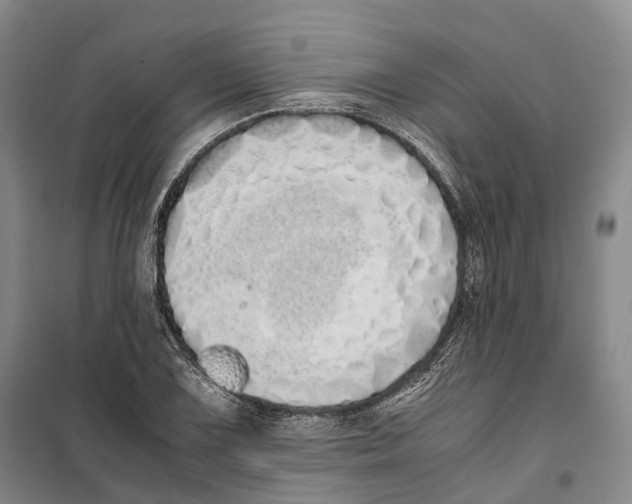 X0000099401075200806051202