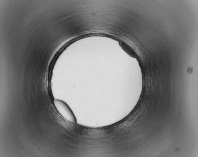 X0000099401076200806051202