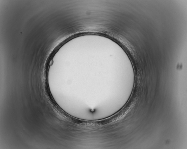 X0000099401077200806051202