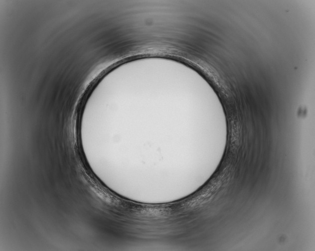 X0000099401078200806051202