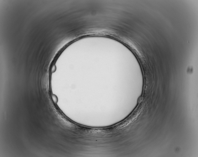 X0000099401079200806051202