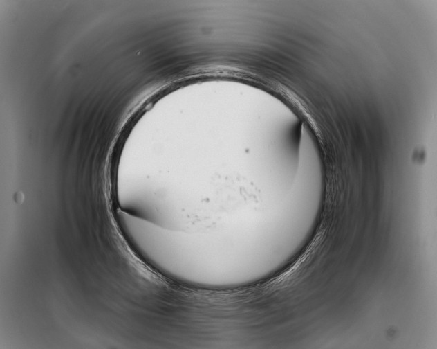 X0000099401082200806051202