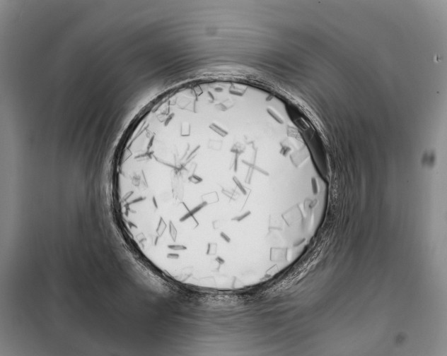 X0000099401083200806051202