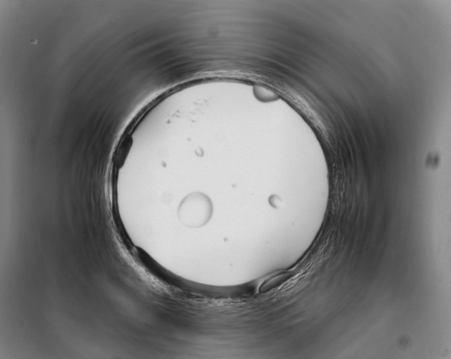 X0000099401084200806051202