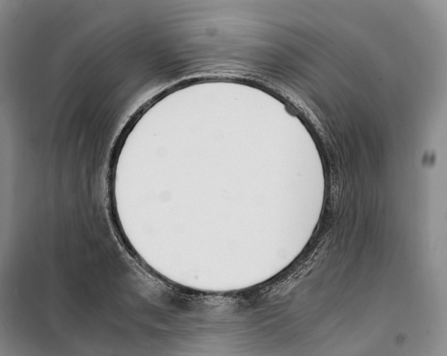 X0000099401085200806051202