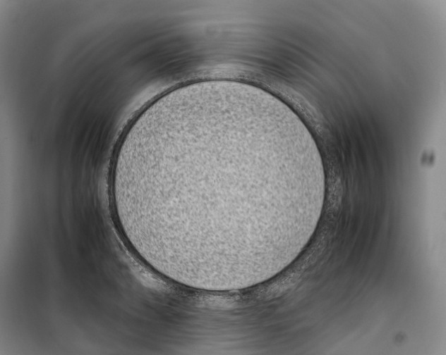 X0000099401086200806051202