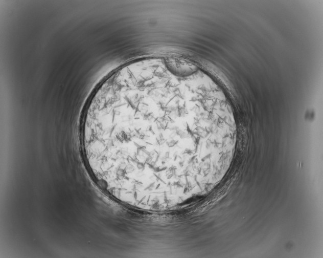 X0000099401087200806051202